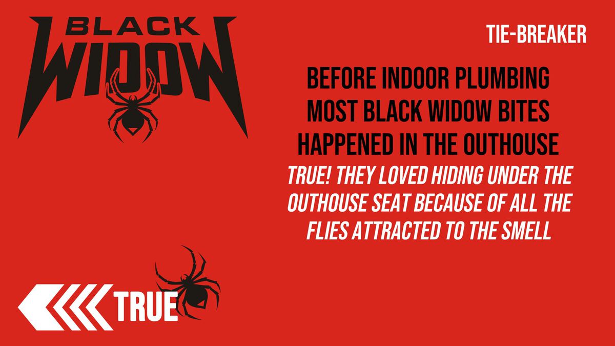 Black Widow image number null